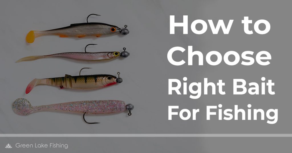 How to Choose Right Bait for Fishing